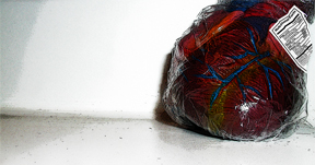 Cardiac Arrest:  Portrait of my Former Self