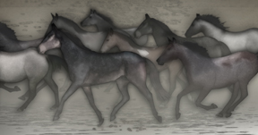 Hawkmoon Cover 1 (Detail))