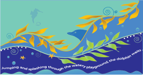 Dolphin Play