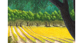 Until Next Year in Napa