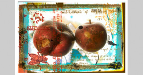 Apples No.1