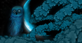 The Owl