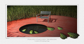 Concert of Croaking Frogs