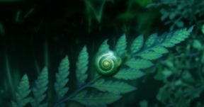 Snail on a Fern