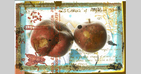 Apples No. 1