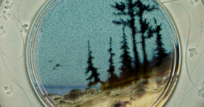 Stacked Jar, Lid Detail