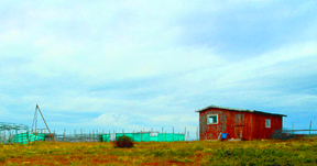 cattle station Sweden