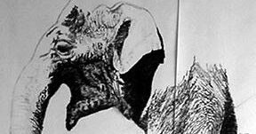 African Elephant (detail)