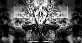 compositions of an unconcious mind