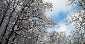 Mill Creek Snow, 2004