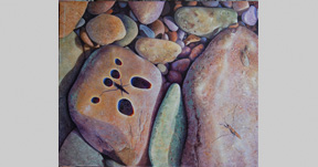 river rock & water bug