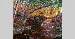 Sycamore Canyon Creek